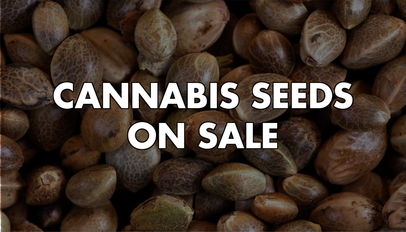 420-sale-cannabis-seeds.png